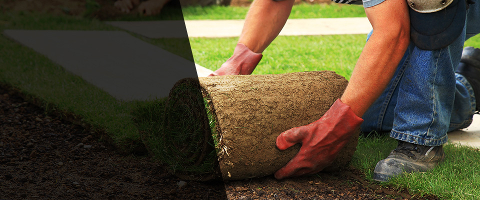 Thatcher Landscapers